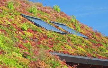 Abdy living roof systems
